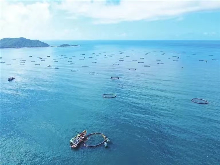 再攀新高！三亞農(nóng)投海洋產(chǎn)業(yè)有限公司成功入選